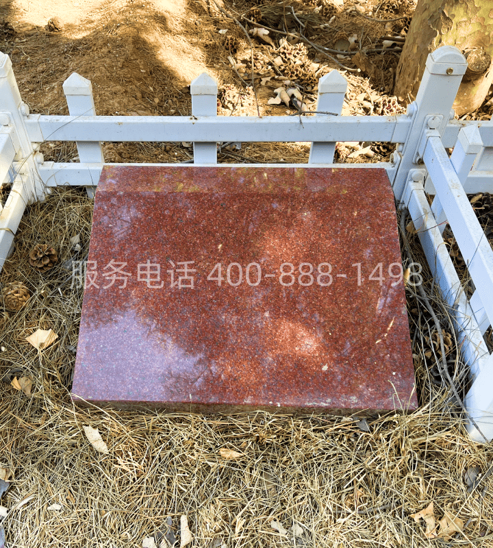 生态葬树葬